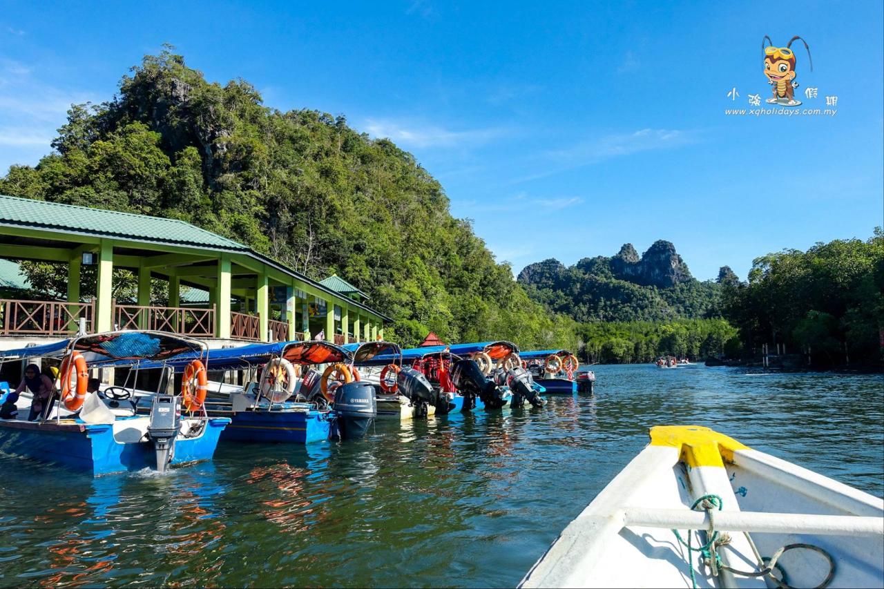 Jelajahi Keajaiban Mangrove Langkawi dengan Tur yang Tak Terlupakan